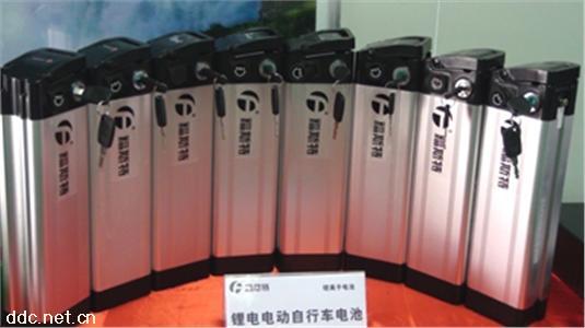  长江福斯特电动自行车电池